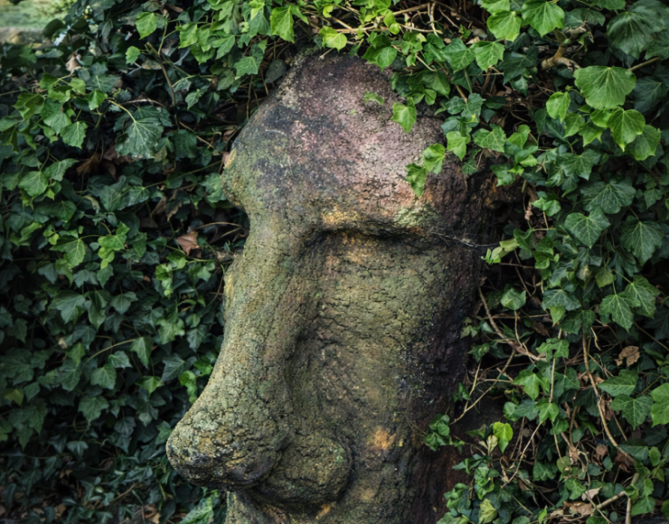 Stenen sculptuur van een menselijk gezicht, deels overwoekerd door klimop, vastgelegd in een natuurlijke tuinomgeving.