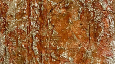 Abstract schilderij met reliëf, opgebouwd uit dikke lagen klei, kit, acrylverf, metallic verf en epoxy in warme aardetinten.